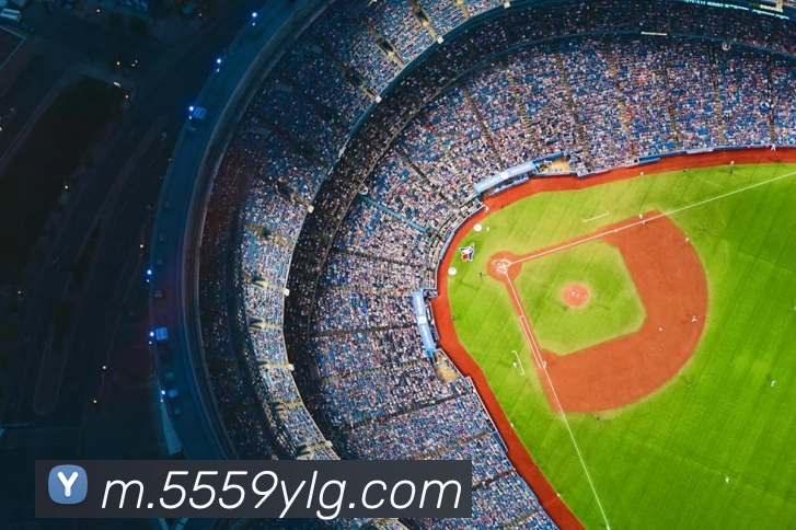 澳门永利皇宫平台网站APP 封面图